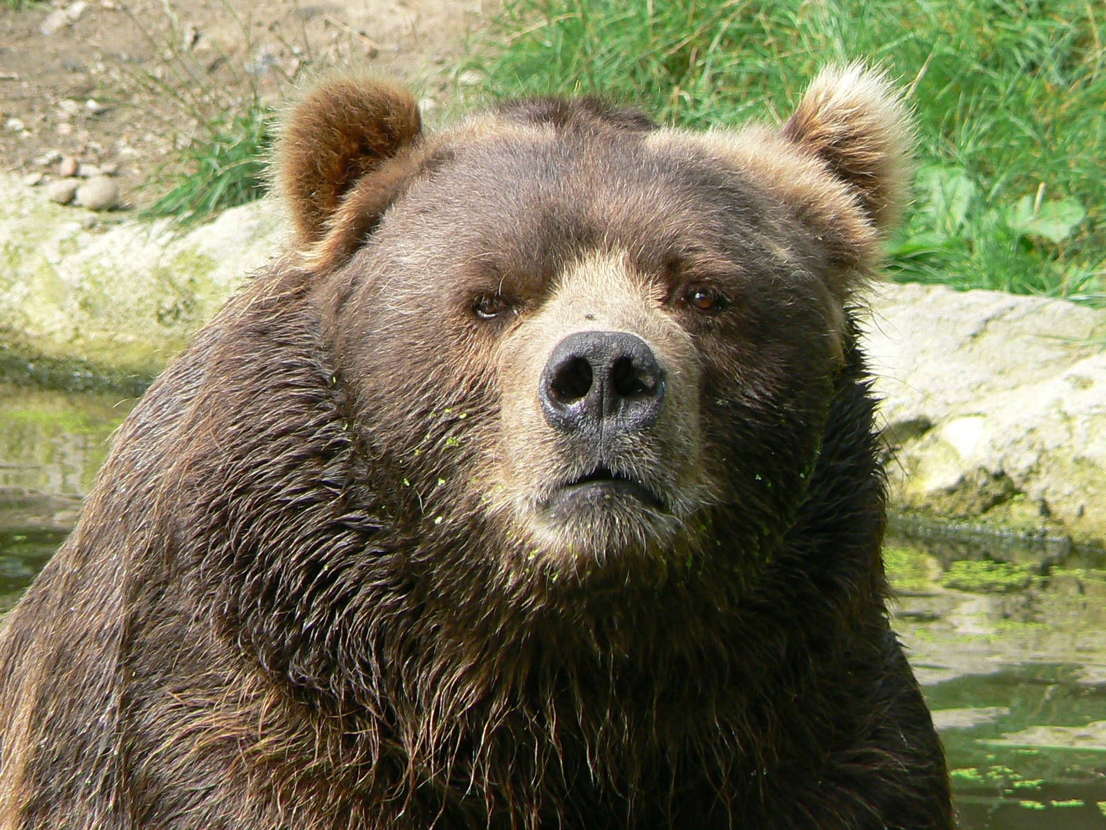 20140112-002254.jpg