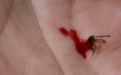 3584_mosquito_kill_macro