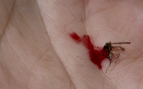 3584_mosquito_kill_macro