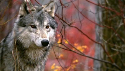 tumblr_nqb2mugeQ61s6y006o1_1280