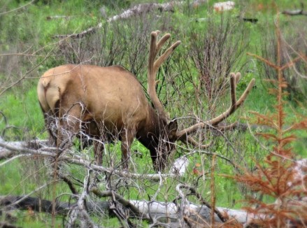 tumblr_nr12m6avlC1s6y006o5_1280