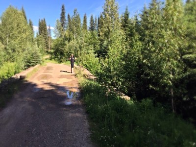 Go_Untamed_Winston_Wolfrider_Canada