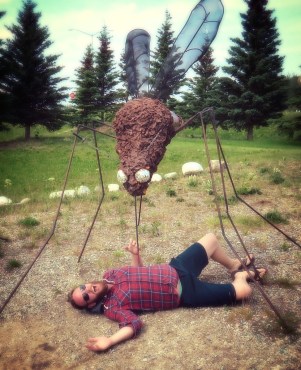 Go_Untamed_Winston_Wolfrider_Alaska_mosquito