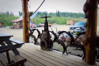 Go_Untamed_Winston_Wolfrider_Alaska_chicken2