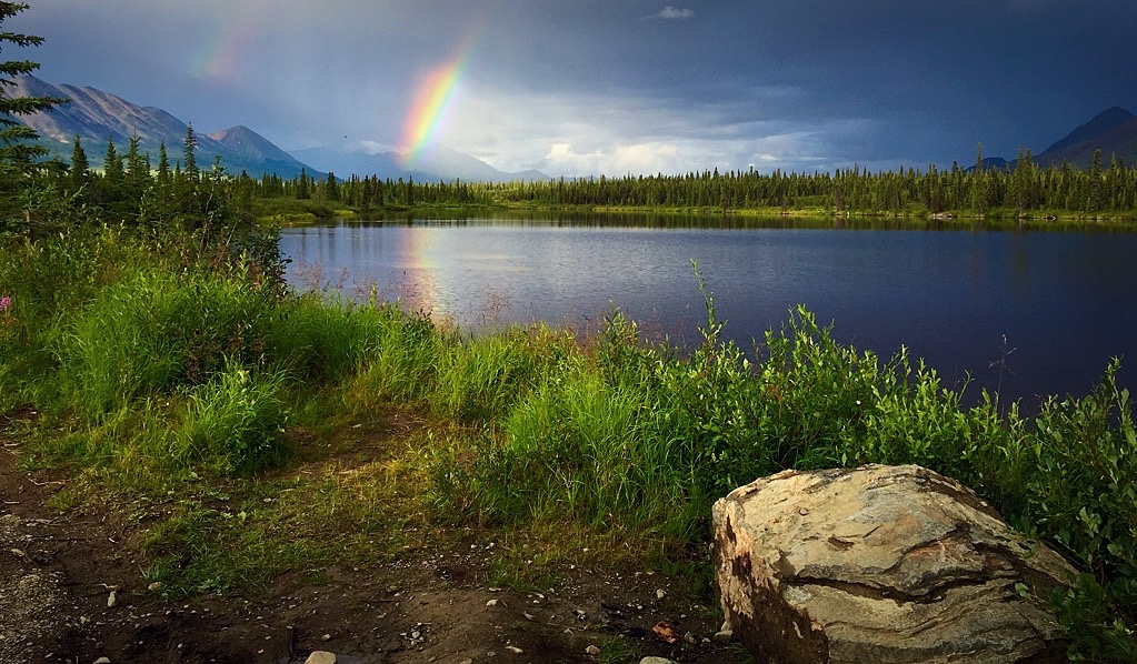 Leeches! Driving! Glaciers! (videos in Denali)