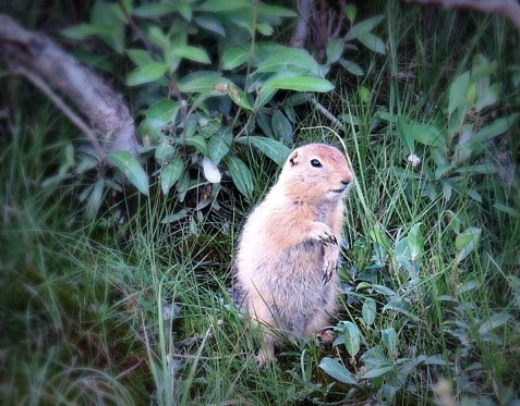 tumblr_nsd9y67g6B1s6y006o6_1280