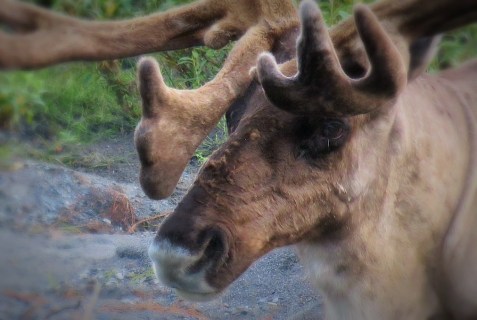 tumblr_nsda4aRIc61s6y006o5_1280