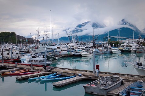 tumblr_nt51zksa3U1s6y006o8_1280