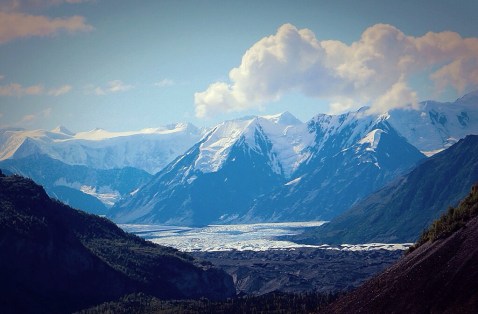 tumblr_nt51zksa3U1s6y006o9_1280