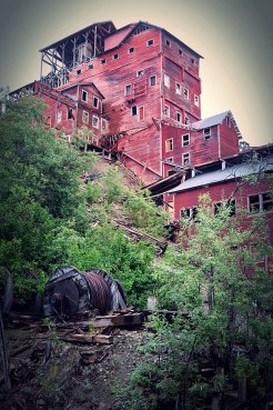 Go_Untamed_Winston_Wolfrider_Alaska_Wrangell_St_Elias_Kennicott