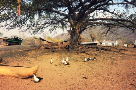 tumblr_nz22e9EguZ1s6y006o6_1280