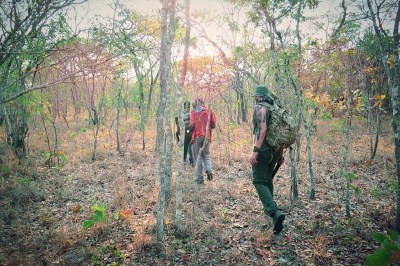 anti poaching malawi