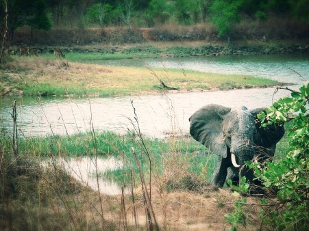 tumblr_o1u7m9HPwp1s6y006o1_1280