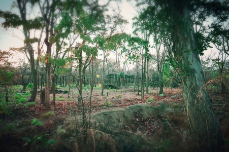 tumblr_o1u7m9HPwp1s6y006o3_1280