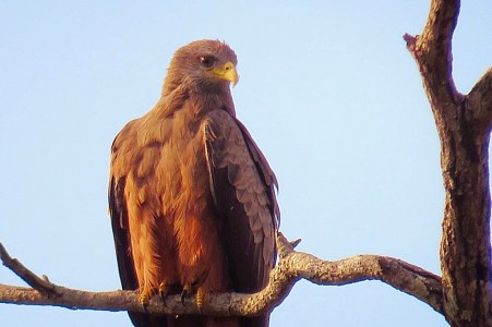 tumblr_o2e2e7Zrmk1s6y006o2_1280