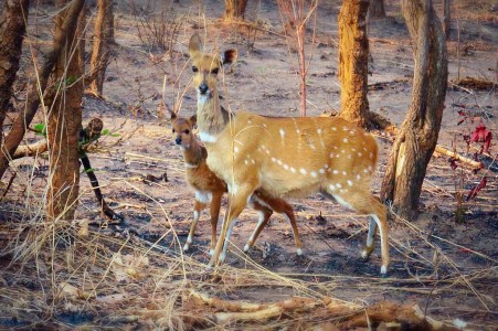 tumblr_o2e2e7Zrmk1s6y006o3_1280