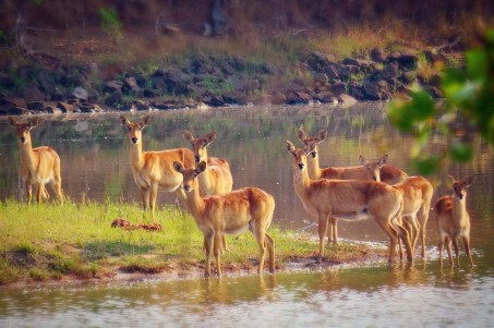 tumblr_o2eazbd3621s6y006o4_1280