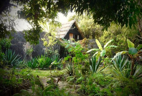 Malawi-safari-Malawi-GoUntamed