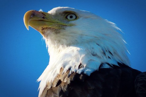 tumblr_nskqwabvhv1s6y006o3_1280