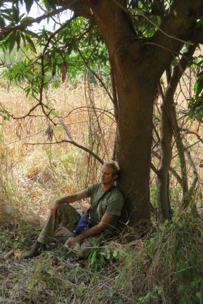 Go_Untamed_winstonwolfrider_malaria_Tree