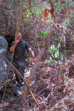 Go_Untamed_winstonwolfrider_Forest