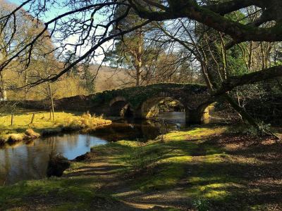 13235243_10154284821615921_7604855837234369746_o