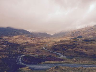 13254668_10154287775545921_4729380468357835908_o