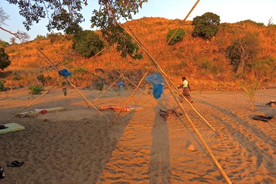 safari_go_untamed_sleep_on_beach