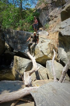 Go_Untamed_Climbing_Trees