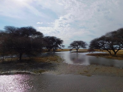 GoUntamed_Desert_Kalahari_