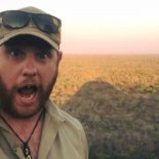 Not a Travel Blog